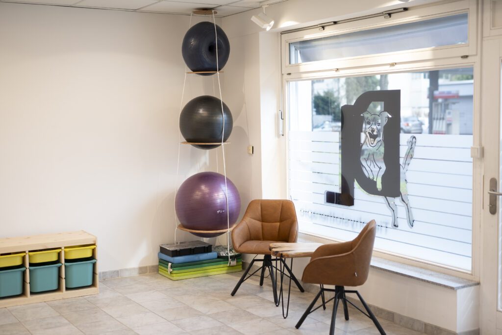 Praxisraum Tierphysiotherapie mit zwei Stühlen, einem Regal und Gymnastikbällen in drei Größen die untereinander an der Decke hängen