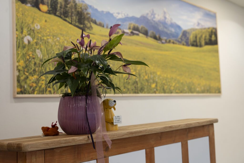 Wandbild mit Landschaft und darunter ein Regal mit Pflanze