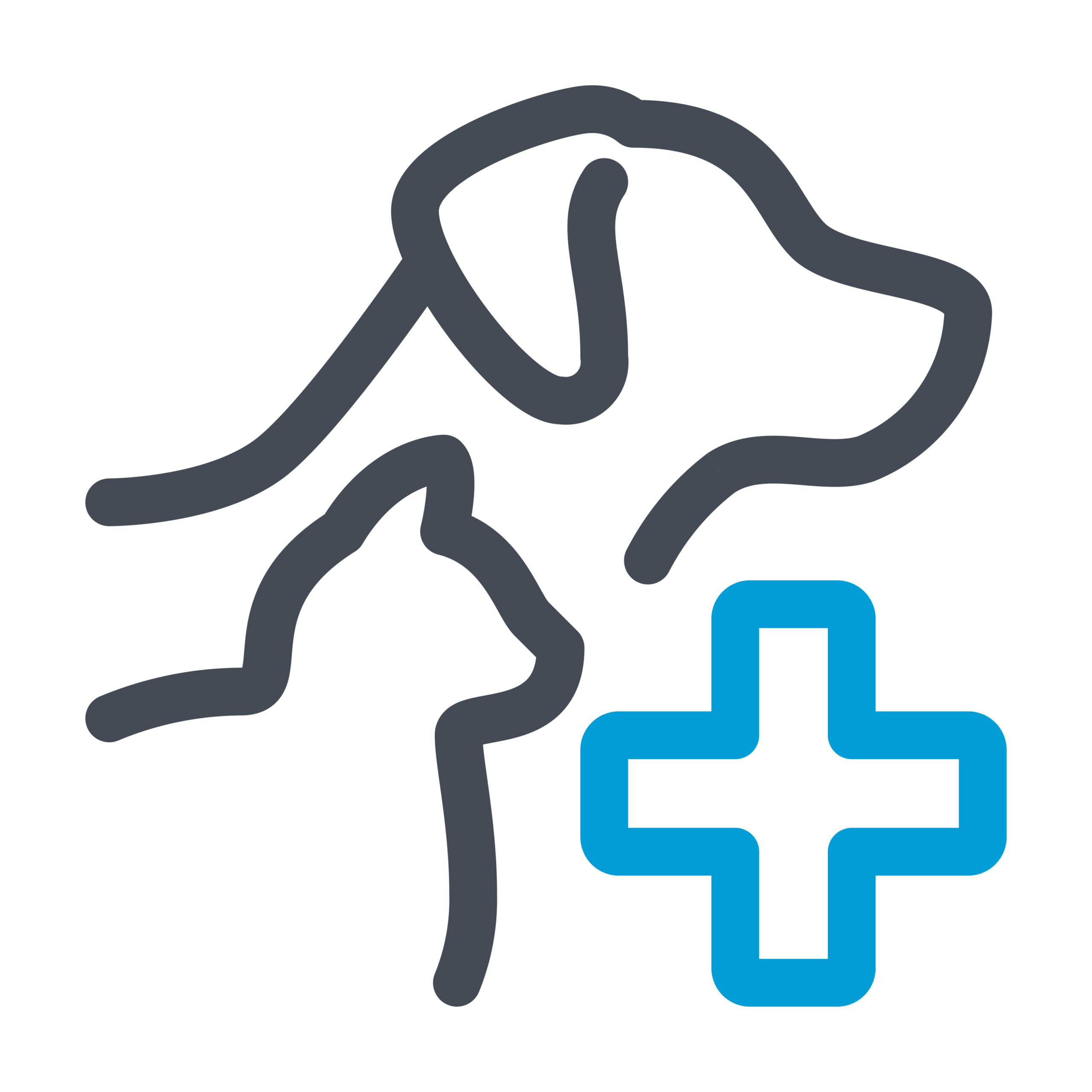 Physiotherapie Umrisse von Hund und Katze und einem Kreuz